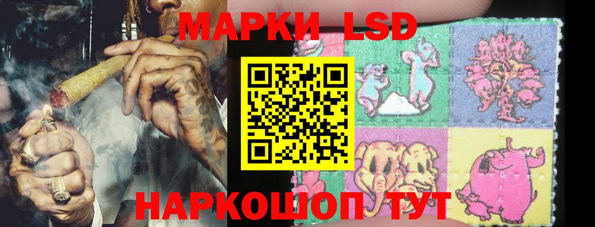Галлюциногенные грибы Прокопьевск