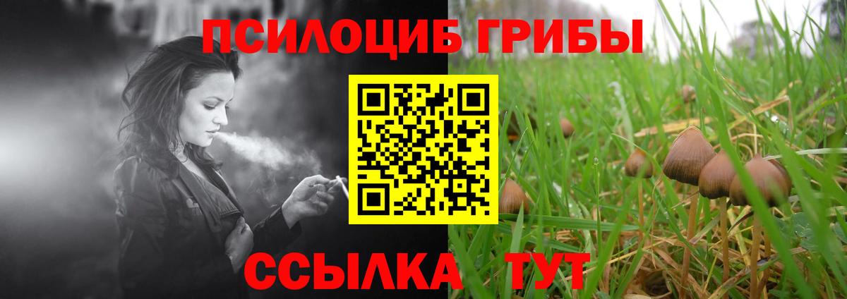 Галлюциногенные грибы мухоморы  Вход с VPN  Прокопьевск 
